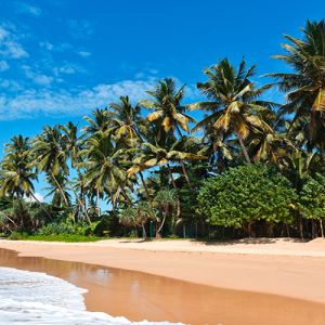 Bentota Holidays
