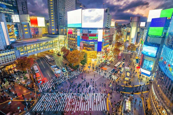 Tokyo Holiday