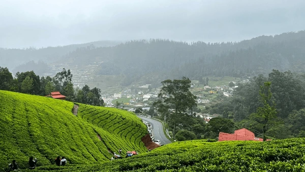 Ooty