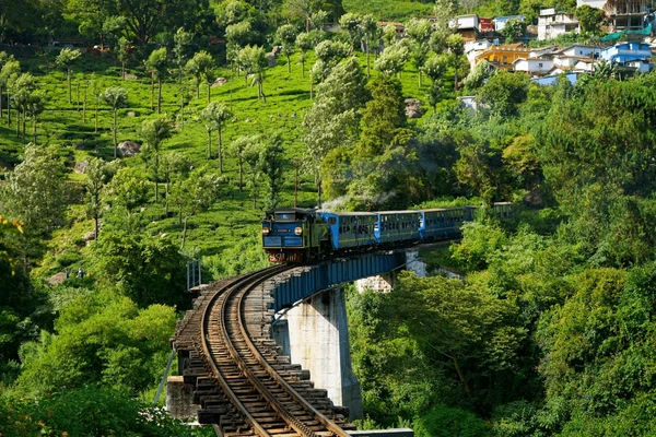 Ooty