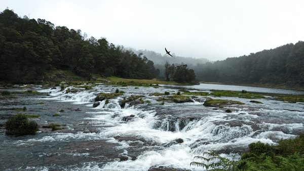 Ooty