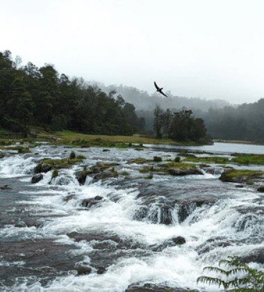 Ooty Holiday Package