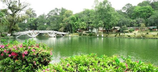 shillong