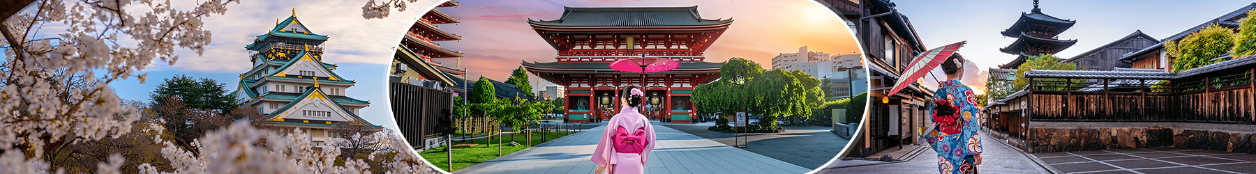 Glimpses of Japan 06 Nights