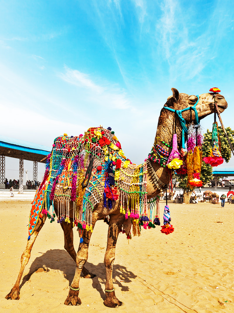 Jaisalmer