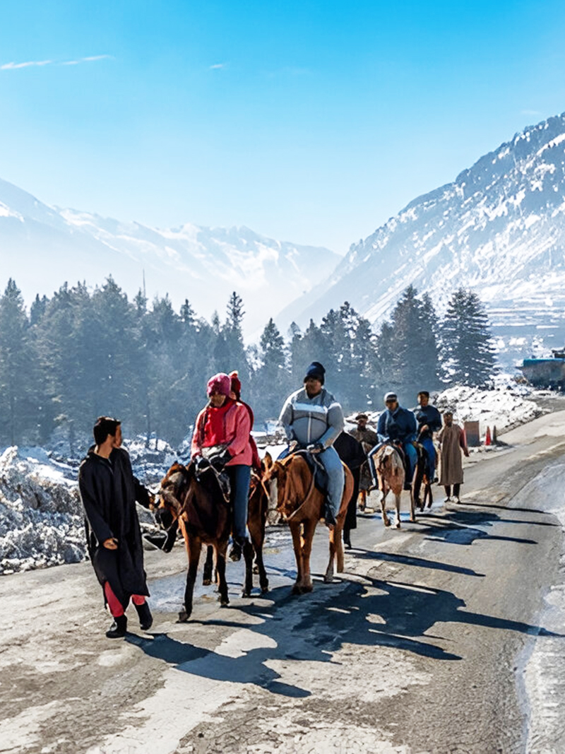 Kashmir
