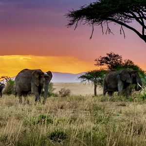 Kenya Holiday Packages