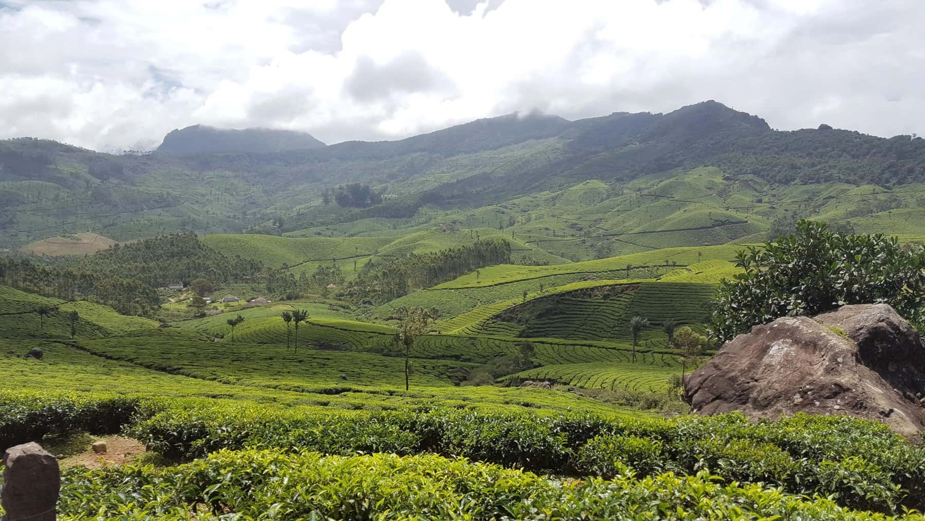 Munnar Sightseeing