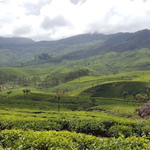 Munnar Tour Package