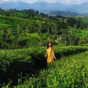Nuwara Eliya Holidays