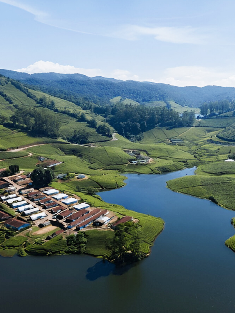 Ooty