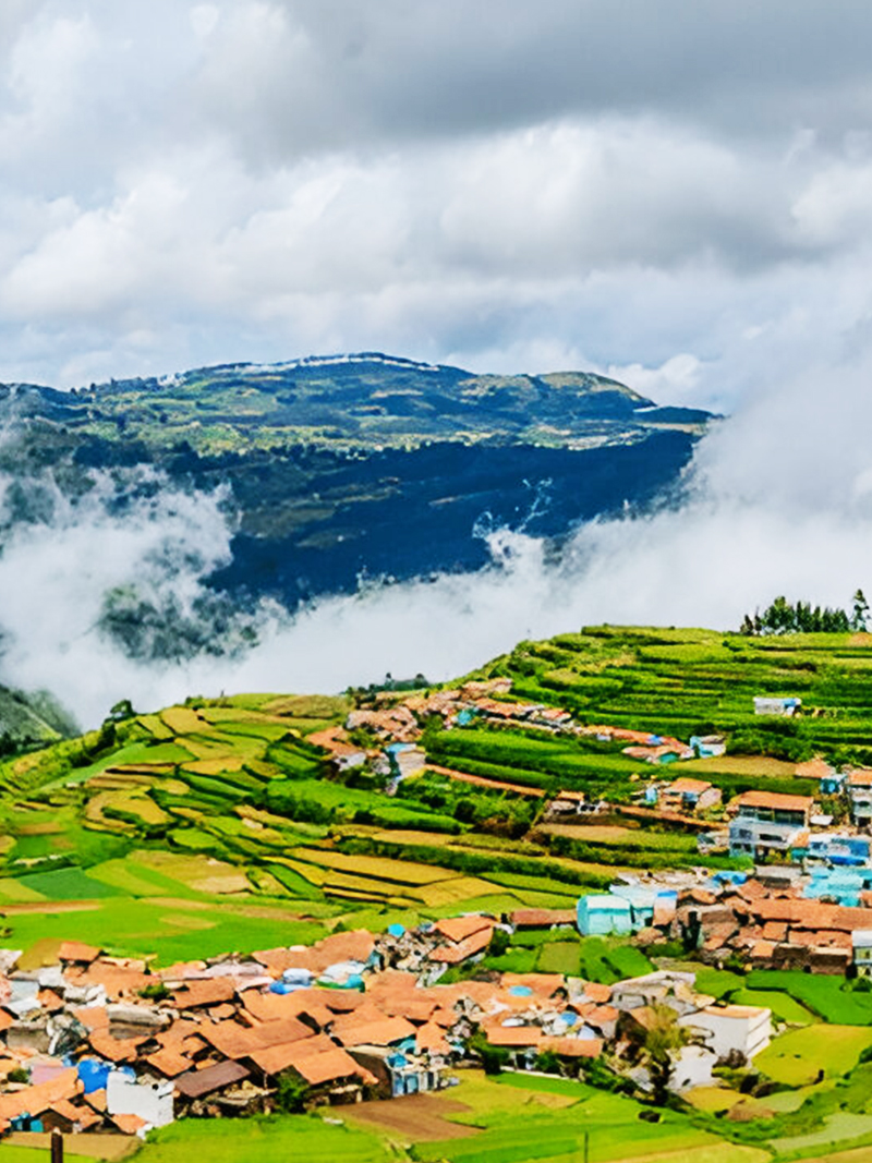 Ooty
