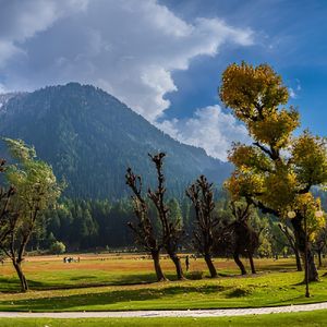 Pahalgam Tour Packages