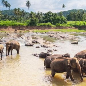 Flights to Sri Lanka