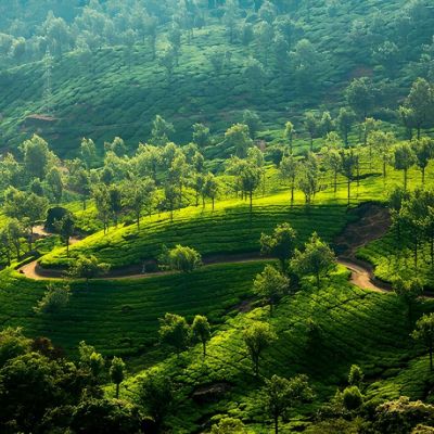 Kerala Harmony Escape – 5 Nights