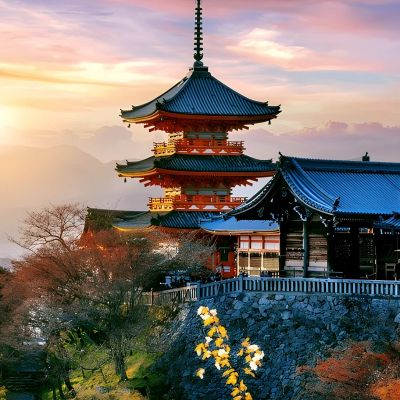 Tokyo Holiday