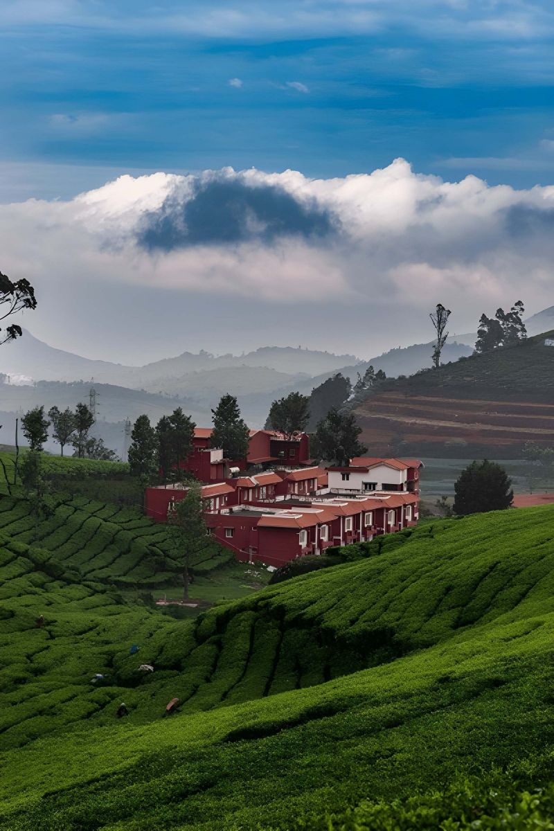 Ooty