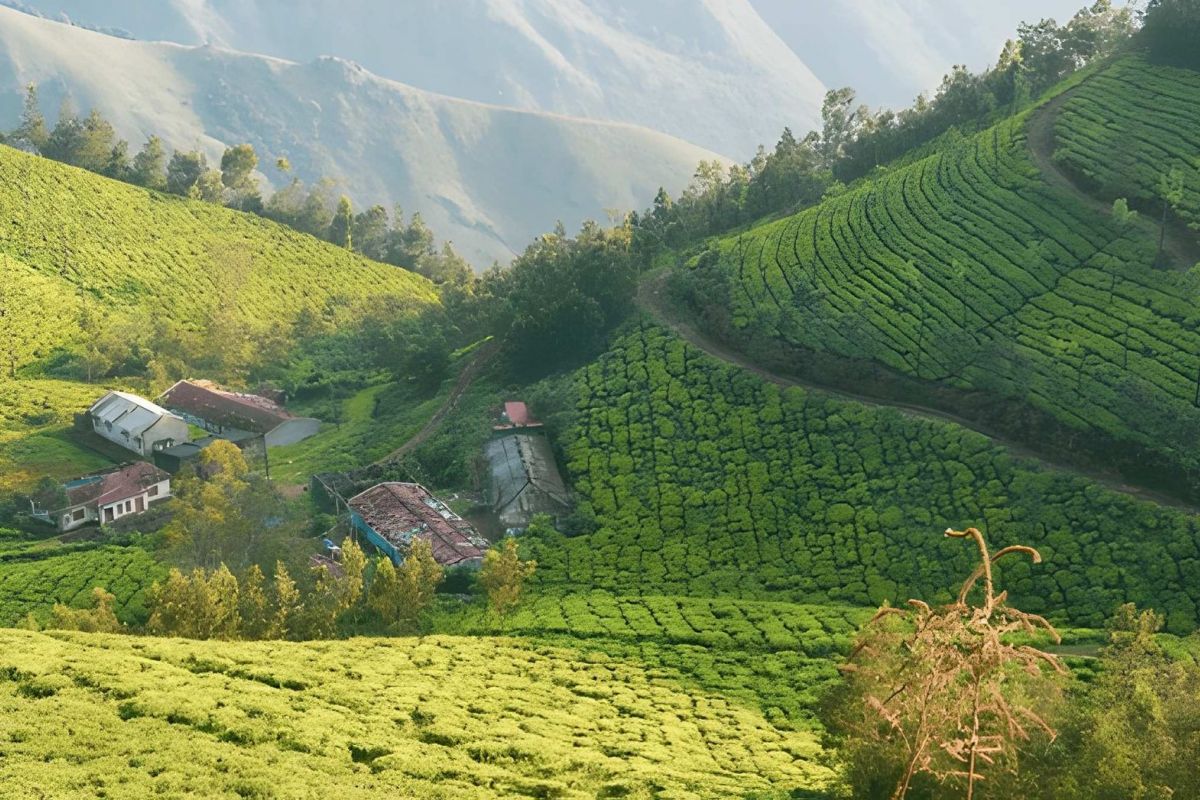 Ooty