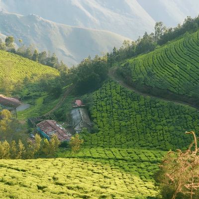 Ooty